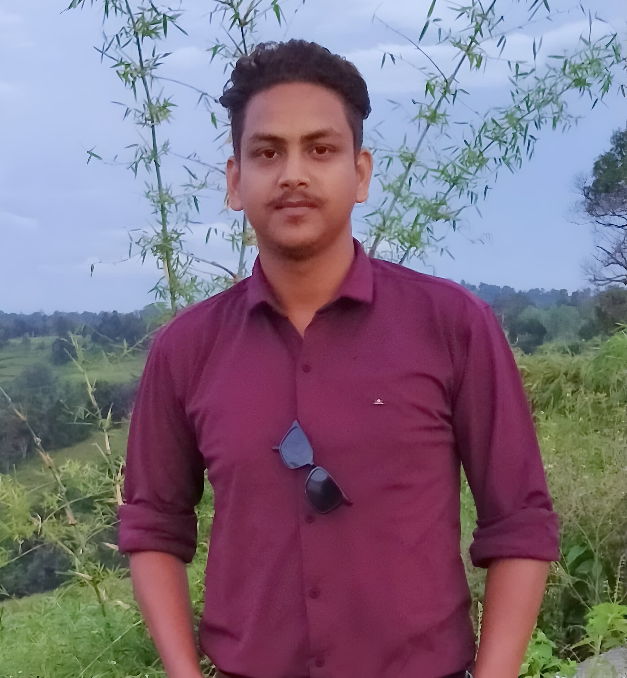Md. Parvez Aalam - Wings Head
